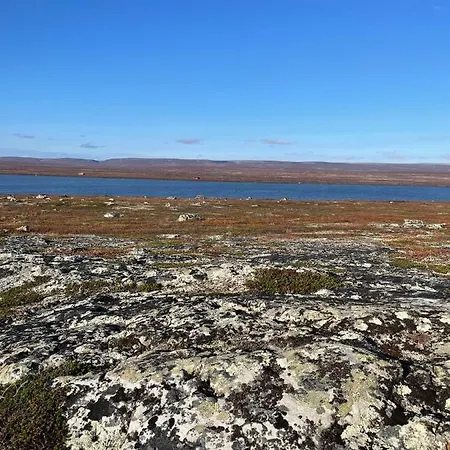 Ekkeroy Lodge - Arctic Living Vadsø Eksteriør billede
