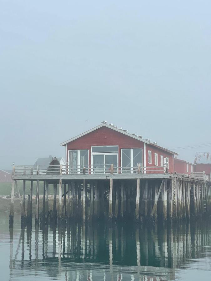 Ekkeroy - Arctic Living Villa