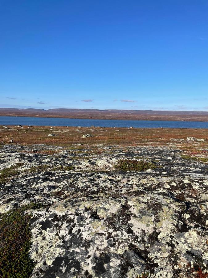 Ekkeroy - Arctic Living Vadsø